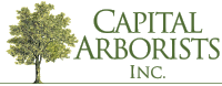 Capital Arborists Logo